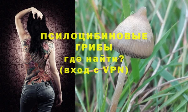 спиды Беломорск